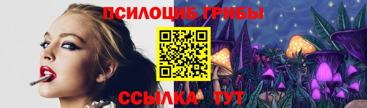 Альметьевск  Галлюциногенные грибы MAGIC MUSHROOMS  что такое наркотик  Вход с VPN 